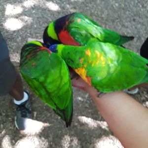 Meet your Posher, Macie